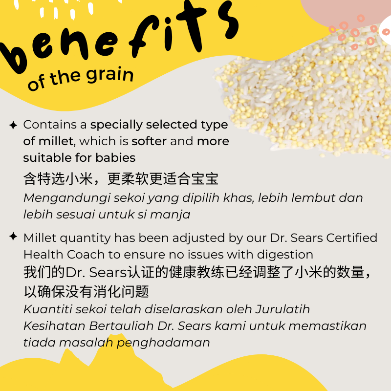 Gnubkins (Little Baby Grains) Light & Easy Baby Rice Step 2 6M+ (Expiry 30-05-2026)